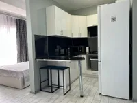 Миниатюра квартиры 9