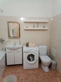Миниатюра квартиры 11