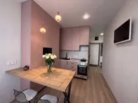 Миниатюра квартиры 9