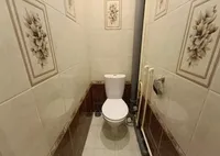 Миниатюра квартиры 5