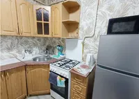 Миниатюра квартиры 15