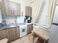 Миниатюра квартиры 13