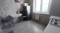 Миниатюра квартиры 11