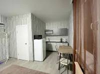 Миниатюра квартиры 2