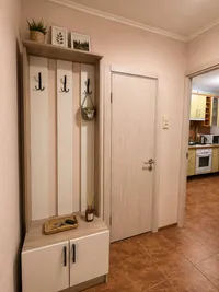 Миниатюра квартиры 9