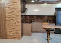 Миниатюра квартиры 11