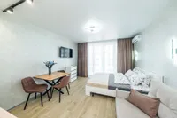 Миниатюра квартиры 9