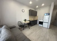 Миниатюра квартиры 3
