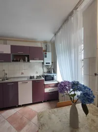 Миниатюра квартиры 12