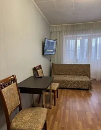 Миниатюра квартиры 1