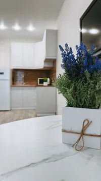 Миниатюра квартиры 25