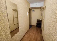 Миниатюра квартиры 19