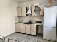 Миниатюра квартиры 18