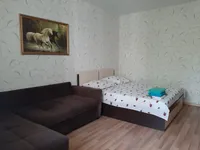 Миниатюра квартиры 23