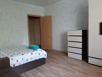 Миниатюра квартиры 24