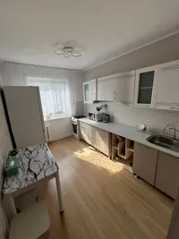 Миниатюра квартиры 9