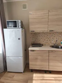 Миниатюра квартиры 3