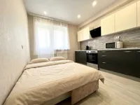 Миниатюра квартиры 2