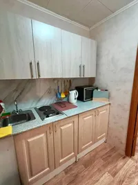 Миниатюра квартиры 2