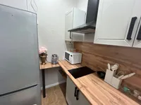 Миниатюра квартиры 13