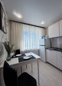 Миниатюра квартиры 8