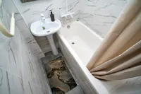Миниатюра квартиры 17