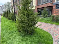 Миниатюра квартиры 7